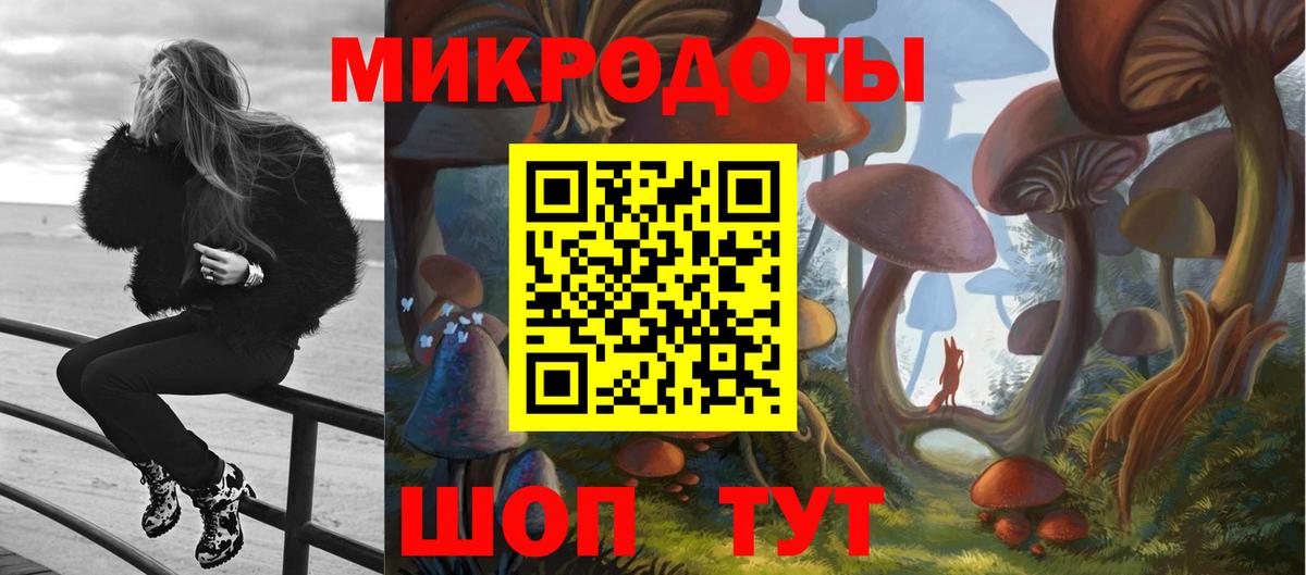 Галлюциногенные грибы прущие грибы  Псилоцибиновые грибы Psilocybine cubensis  Кондопога  Вход с VPN 